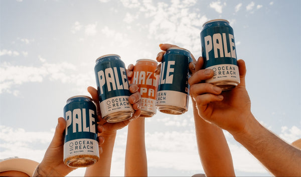 People holding up cans with 'Pale' text against a sky background